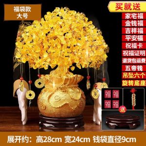 Luxury Feng Shui gift set—ideal for home, office, or gifting to bless loved ones with success and harmony